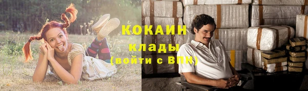 стаф Медвежьегорск