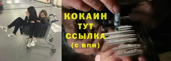 дмт Магас