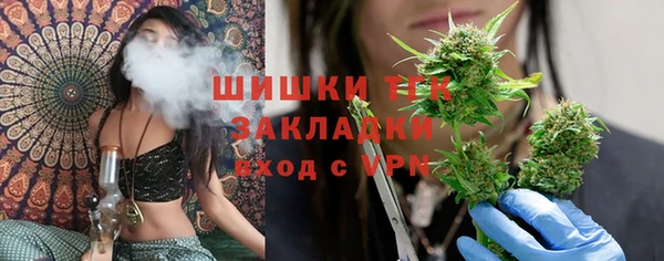 дмт Магас