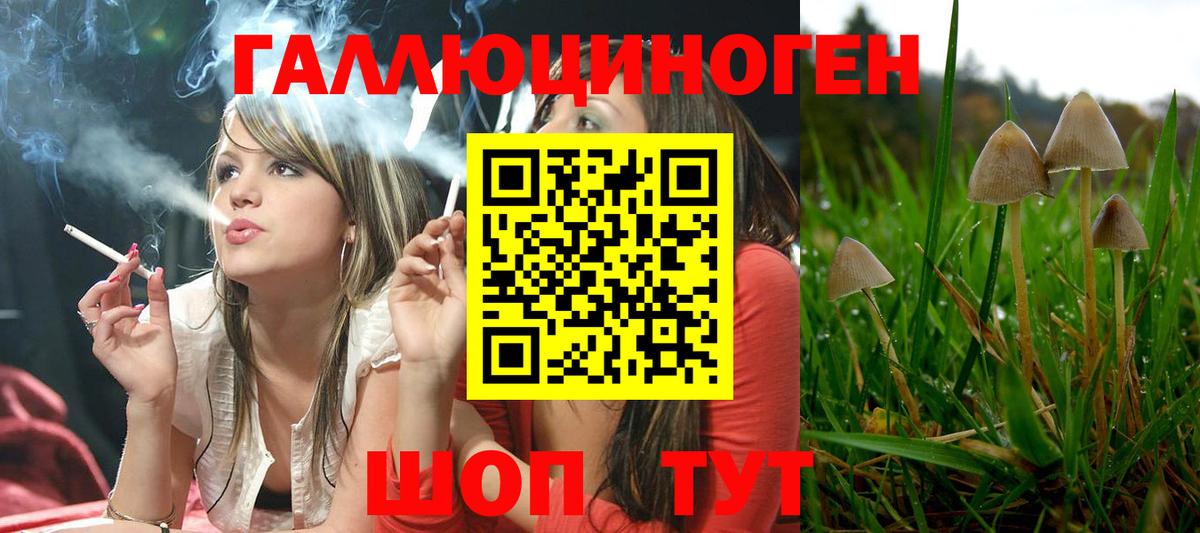 Псилоцибиновые грибы прущие грибы Арзамас