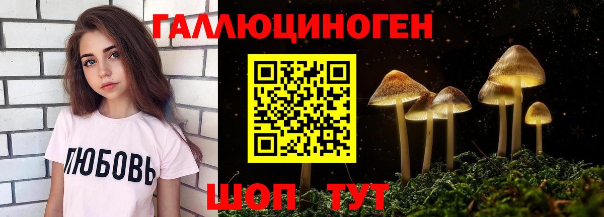Галлюциногенные грибы GOLDEN TEACHER  Вход с VPN  купить закладку  Арзамас 